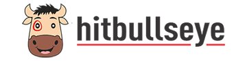 Hitbullseye